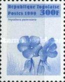 Impatiens petersiana
