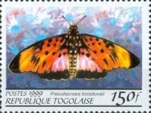 Boisduval's False Acraea (Pseudacraea boisduvali)