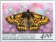 Scarce Fritillary (Euphydryas maturna)