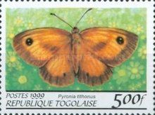 Gatekeeper (Pyronia lithonus)