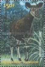 Okapi (Okapia johnstoni)