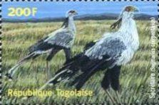 Secretarybird (Sagittarius serpentarius)