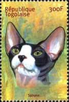 Sphynx