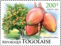 Mangifera indica