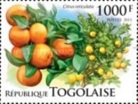 Citrus reticulata