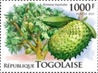 Annona muricata