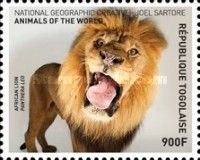 Panthera leo