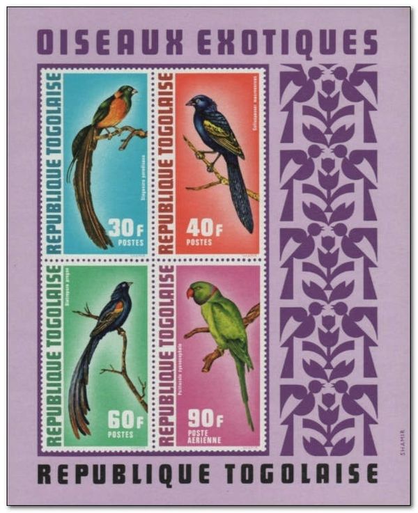 Exotic birds