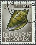 Sea Snail (Marginella faba)