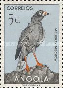 Dark Chanting-Goshawk (Melierax mechowi)