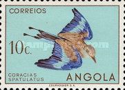 Racket-tailed Roller (Coracias spatulatus)
