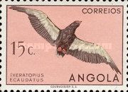 Bateleur (Terathopius ecaudatus)