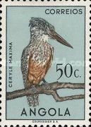 Giant Kingfisher (Ceryle maxima)