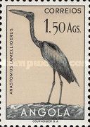 African Openbill (Anastomus lamelligerus)