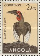 Southern Ground Hornbill (Bucorvus cafer)