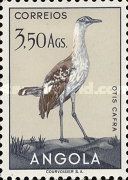Denham's Bustard (Otis cafra)