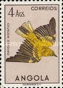 African Golden Oriole (Oriolus notatus)