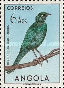 Sharp-tailed Starling (Heteropsar acuticaudus)