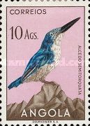 Half-collared Kingfisher (Alcedo semitorquata)