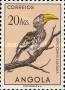 Southern Yellow-billed Hornbill (Tockus leucomelas)