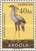 Secretarybird (Sagittarius serpentarius)