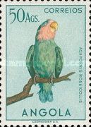 Rosy-faced Lovebird (Agapornis roseicollis)