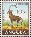 Giant Sable Antelope (Hippotragus niger variani)
