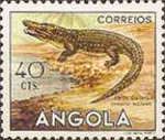 Nile Crocodile (Crocodylus niloticus)