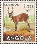Sitatunga (Limnotragus spekii selousi)