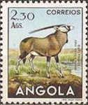Gemsbok (Oryx gazella)