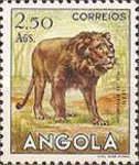 Lion (Panthera leo)