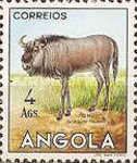 Blue Wildebeest (Connochaetes taurinus)