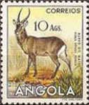 Ellipsen Waterbuck (Kobus ellipsiprymnus)