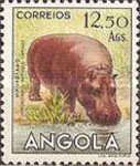 Hippopotamus (Hippopotamus amphibius)