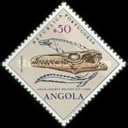 Angolasaurus Bocagei Ant.