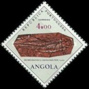 Microceratodus Angolensis Teix