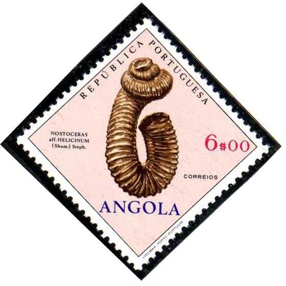 Nostoceras