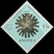 Rotula orbicolus