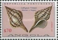 (Lathyrus filosus)