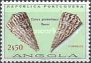 Butterfly Cone (Conus prometheus)