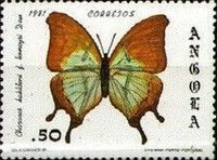 Charaxes kahldeni