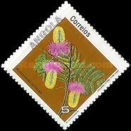 Flowers of Angola