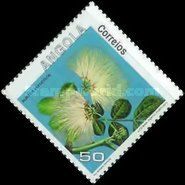 Flowers of Angola