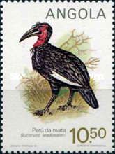 Southern Ground Hornbill (Bucorvus leadbeateri)