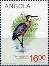 Goliath Heron (Ardea goliath)