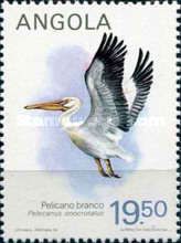Great White Pelican (Pelecanus onocrotalus)