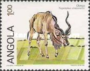 Greater Kudu (Tragelaphus strepsicerus)