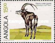 Giant Sable Antelope (Hippotragus niger variani)