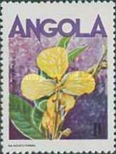 Cassia ocidentalis l.