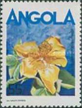 Cochlospermum angolense